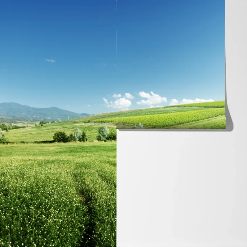 Fototapeta spokojna zielona łąka Fototapeta spokojna zielona łąka