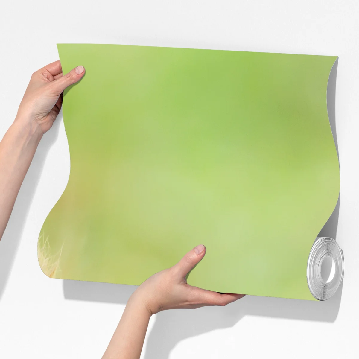 Fototapete rotes eichhörnchen auf moosigem stamm Fototapete rotes eichhörnchen auf moosigem stamm