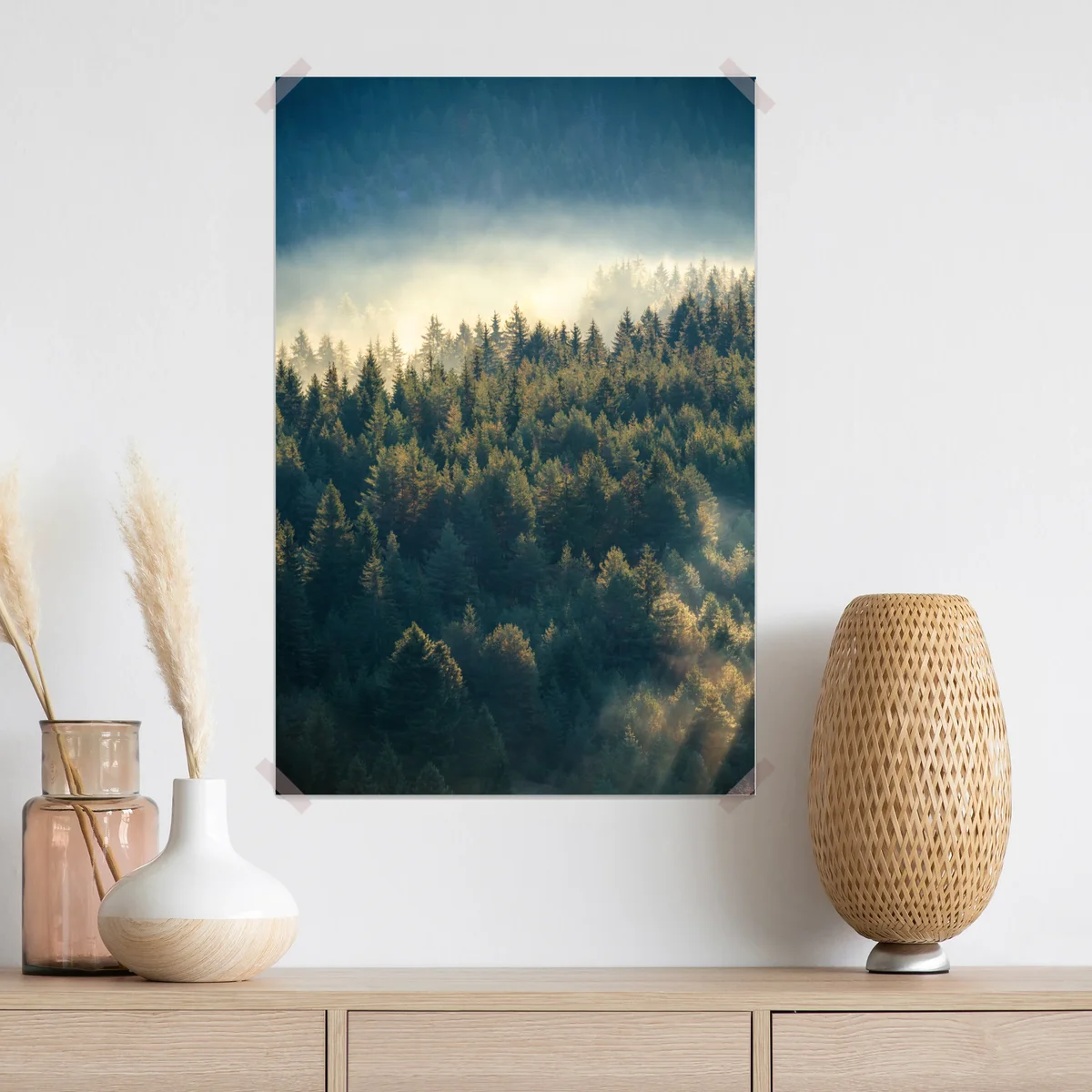 Poster nebliger kiefernwald im morgenlicht Poster nebliger kiefernwald im morgenlicht