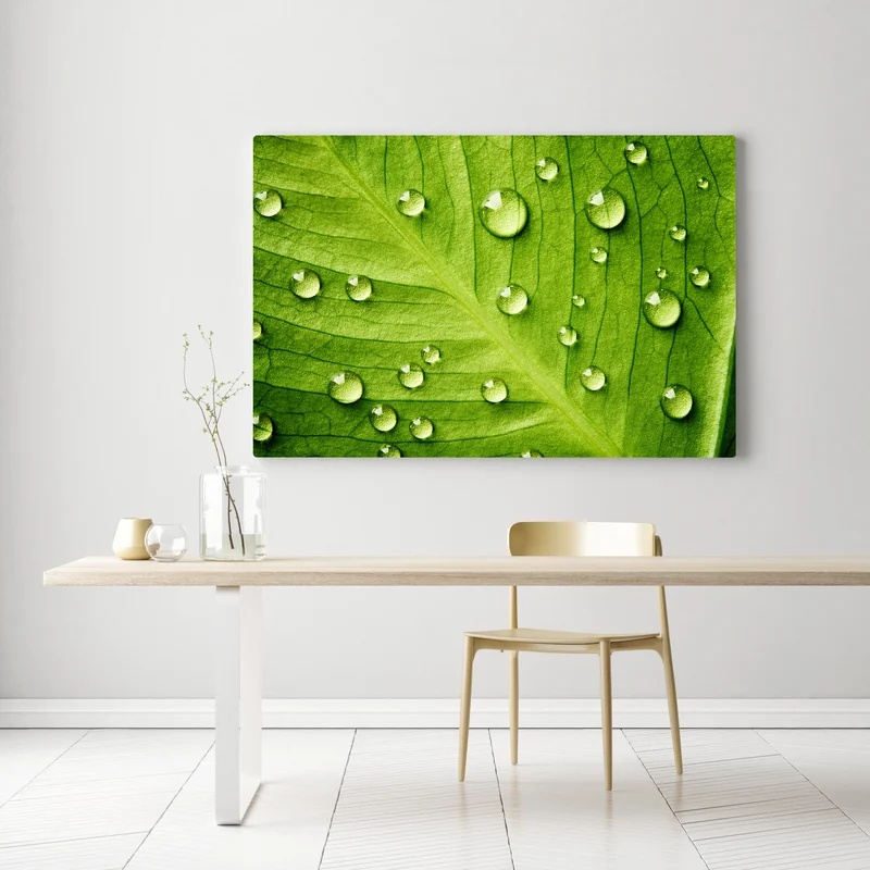 Leinwandbild frisches grünes blatt mit wassertropfen Leinwandbild frisches grünes blatt mit wassertropfen