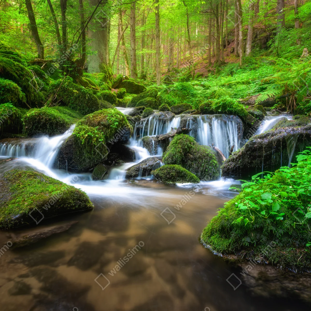 Fototapete ruhiger moosiger waldwasserfall Fototapete ruhiger moosiger waldwasserfall