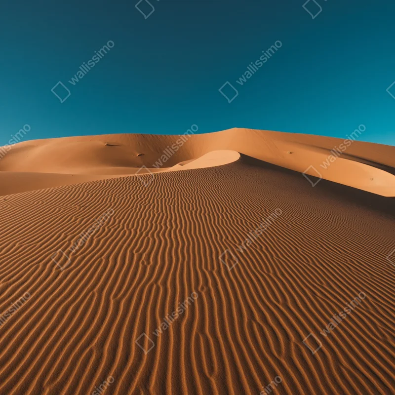 Fensteraufkleber goldene sanddünen unter tiefblauem himmel Fensteraufkleber goldene sanddünen unter tiefblauem himmel