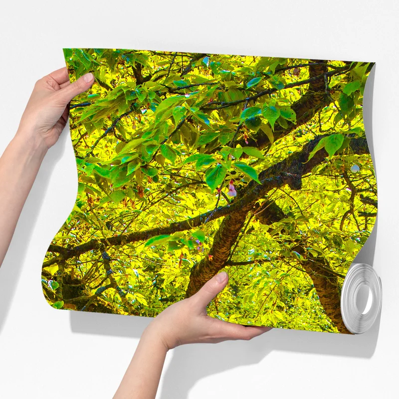 Fototapeta barwny ogród tulipanów w Keukenhof Fototapeta barwny ogród tulipanów w Keukenhof