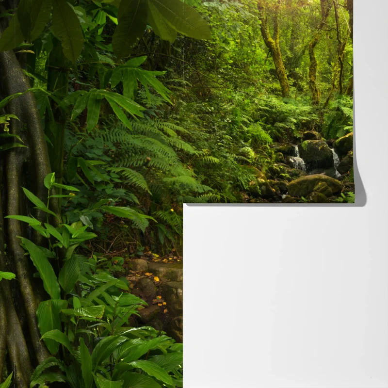 Fototapeta porośnięty mchem leśny potok Fototapeta porośnięty mchem leśny potok