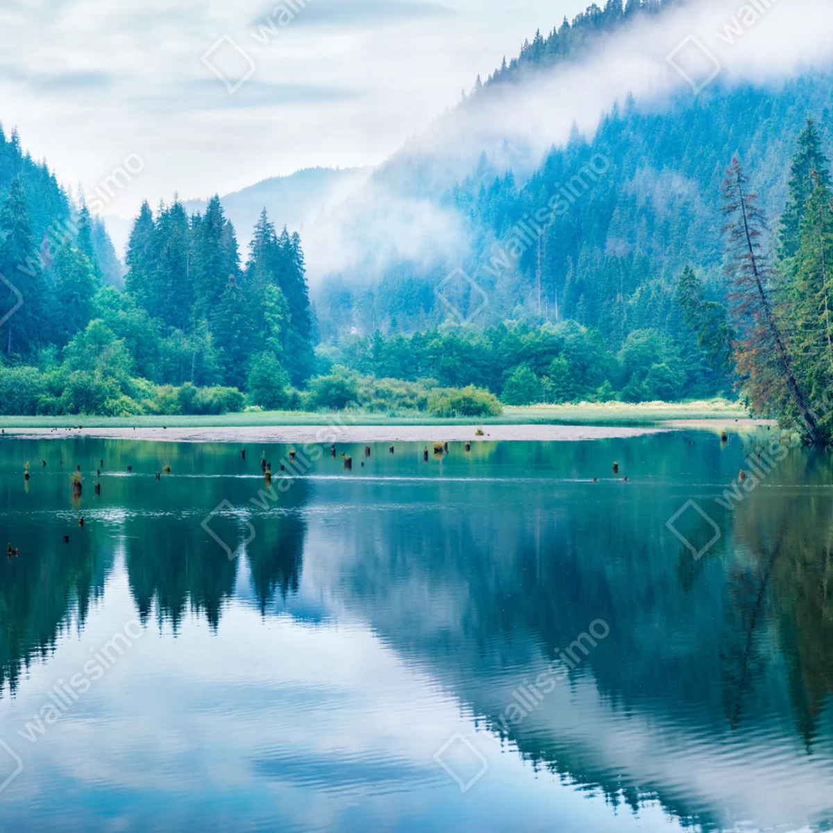 Tischaufkleber und Schreibtischaufkleber nebliger morgen am see Lacu Rosu, Rumänien Tischaufkleber und Schreibtischaufkleber nebliger morgen am see Lacu Rosu, Rumänien