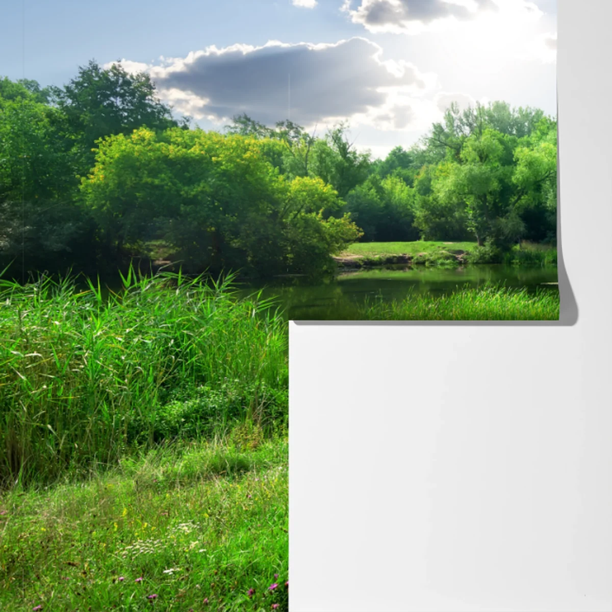 Fototapete sonnige wiese am fluss Fototapete sonnige wiese am fluss