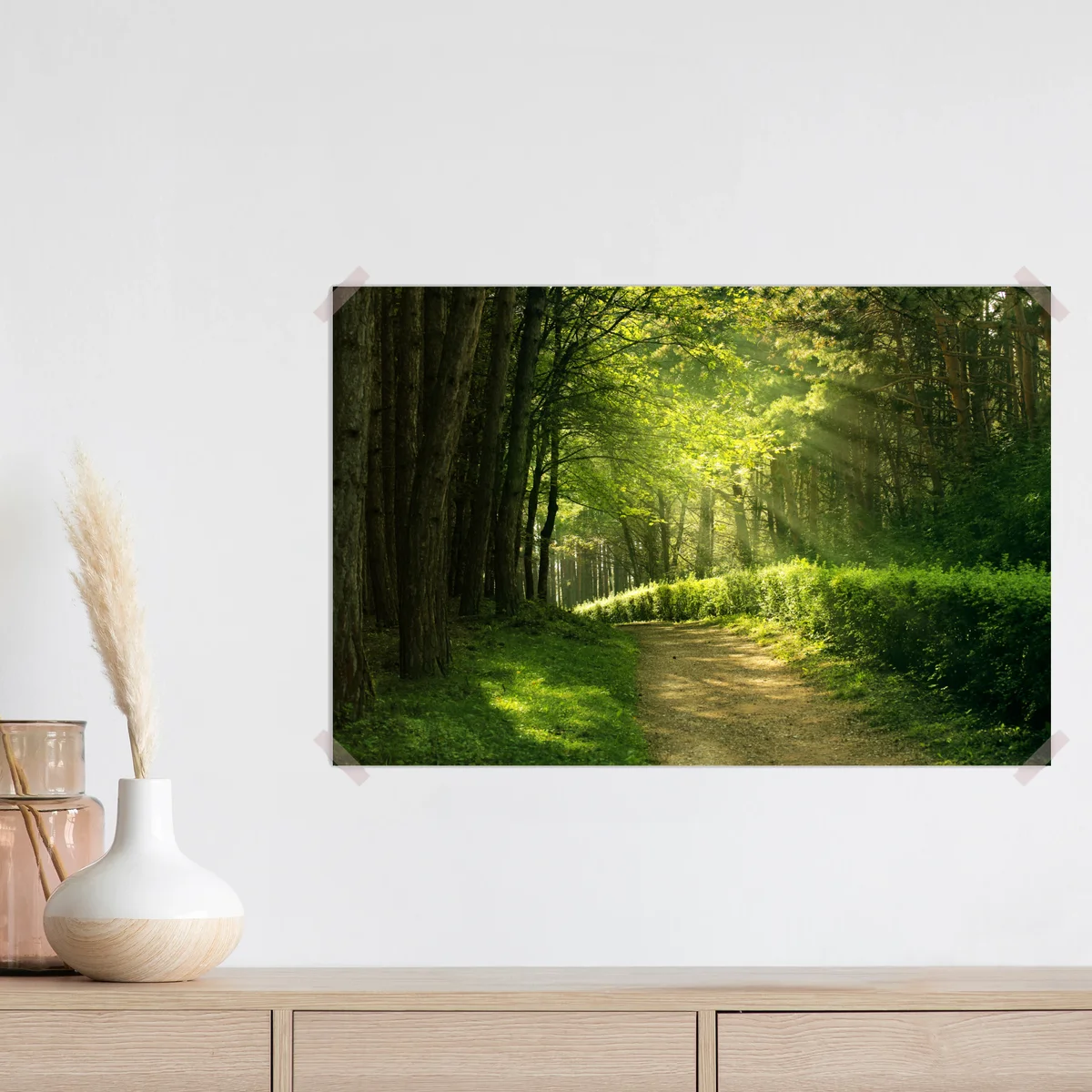 Poster sonnenbeschienener waldpfad im grünen Poster sonnenbeschienener waldpfad im grünen