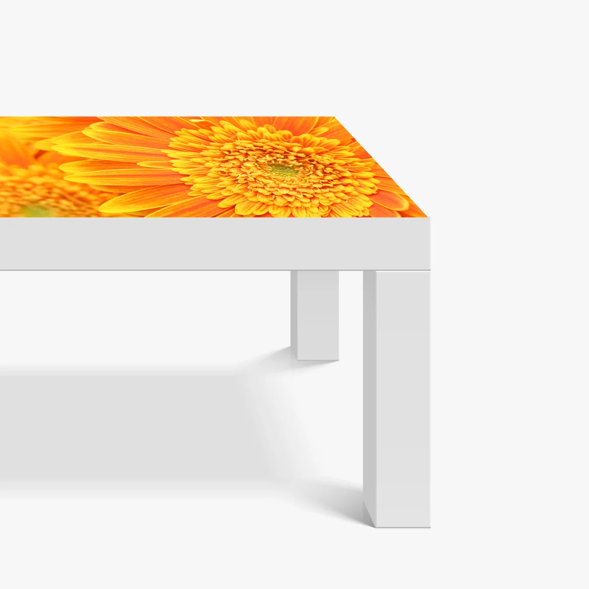 Tischaufkleber und Schreibtischaufkleber leuchtende orange gerbera in makro Tischaufkleber und Schreibtischaufkleber leuchtende orange gerbera in makro
