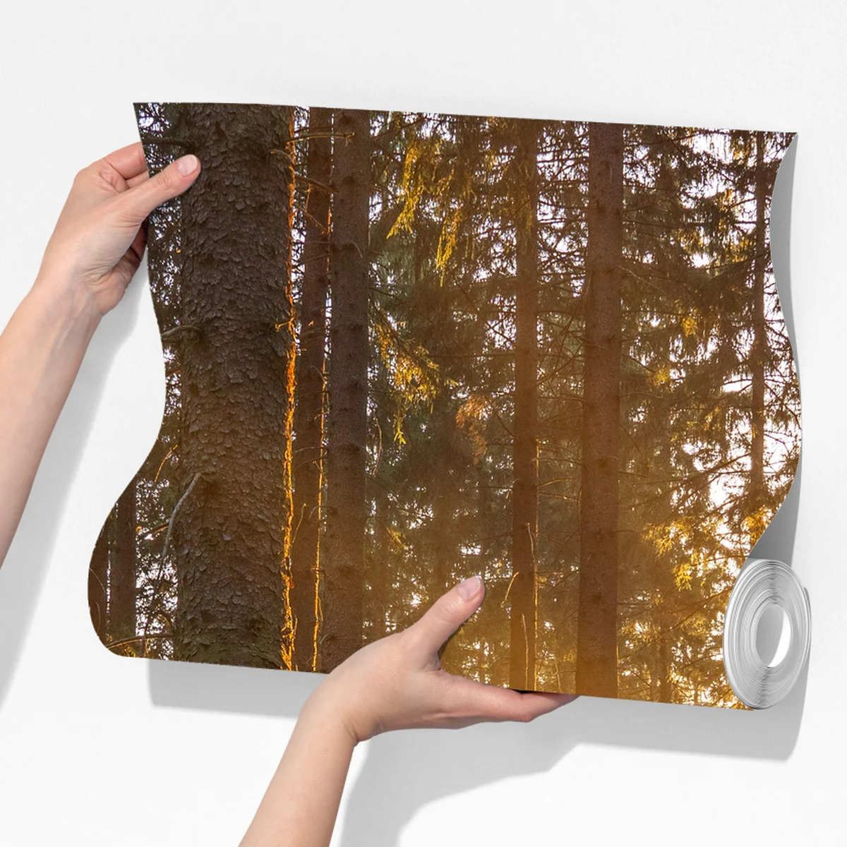 Fototapete sonnenbeschienener waldweg am morgen Fototapete sonnenbeschienener waldweg am morgen