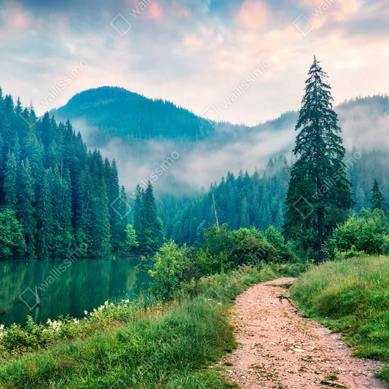 Laptop-Aufkleber nebliger morgen am Lacu Roșu Laptop-Aufkleber nebliger morgen am Lacu Roșu