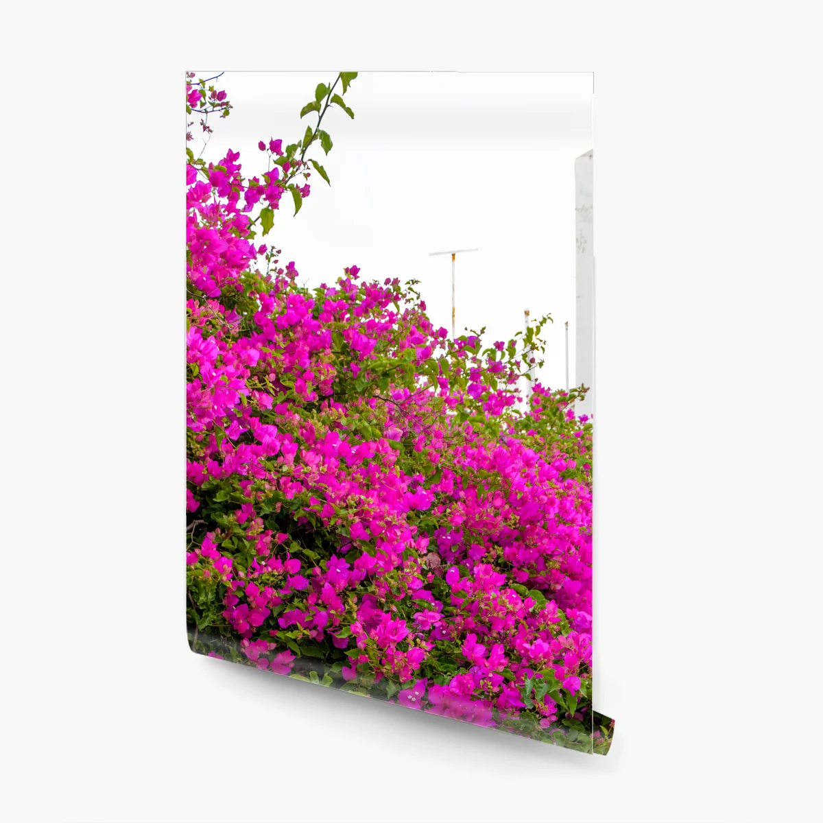 Fototapete blühende bougainvillea in Naousa gasse Fototapete blühende bougainvillea in Naousa gasse