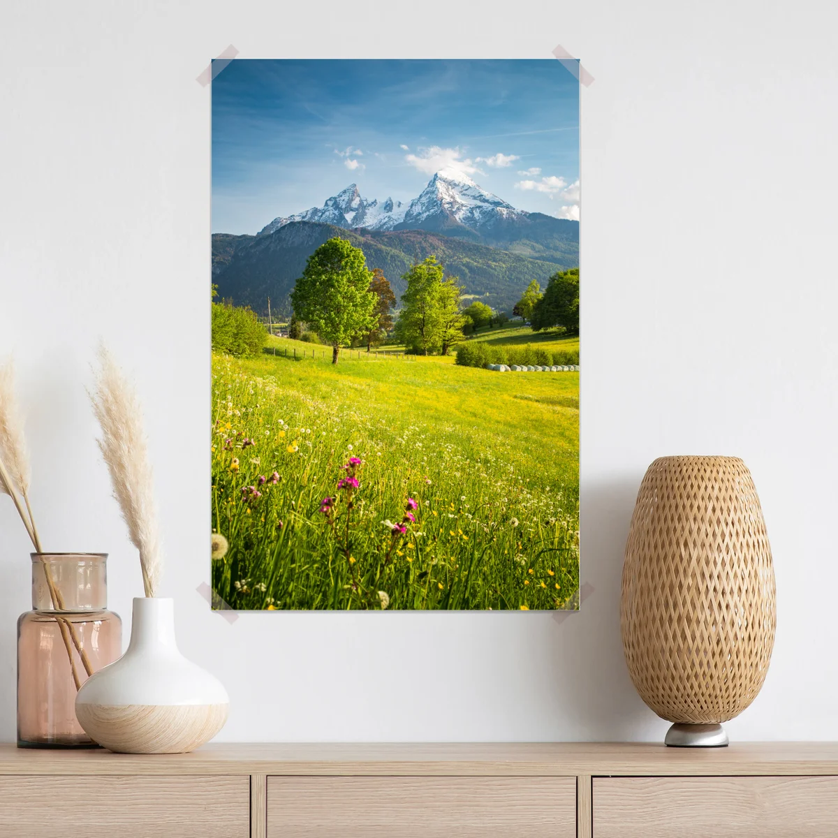 Poster alpine frühlingswiese unter schneebedeckten gipfeln Poster alpine frühlingswiese unter schneebedeckten gipfeln