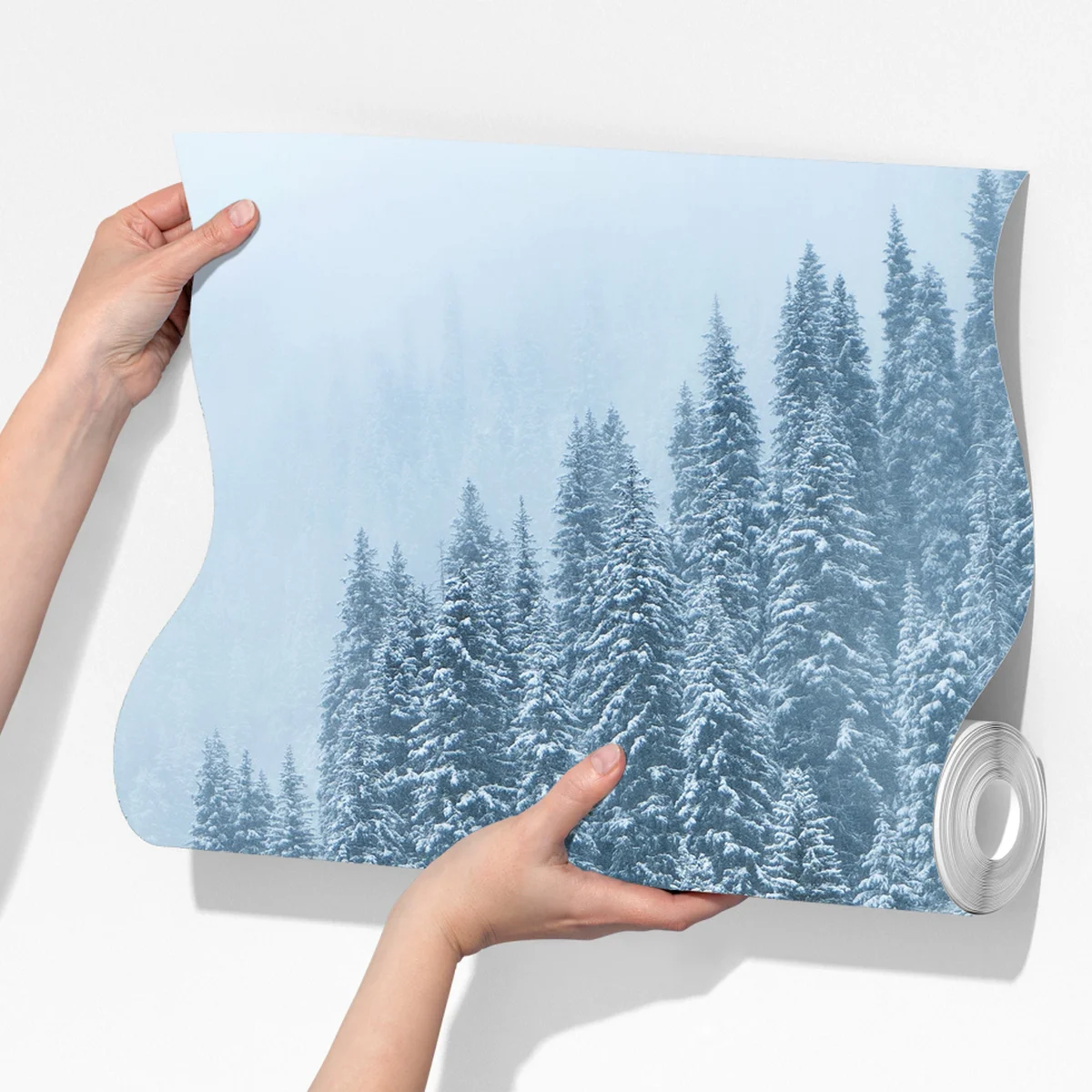 Fototapeta mglisty ośnieżony las sosnowy Fototapeta mglisty ośnieżony las sosnowy