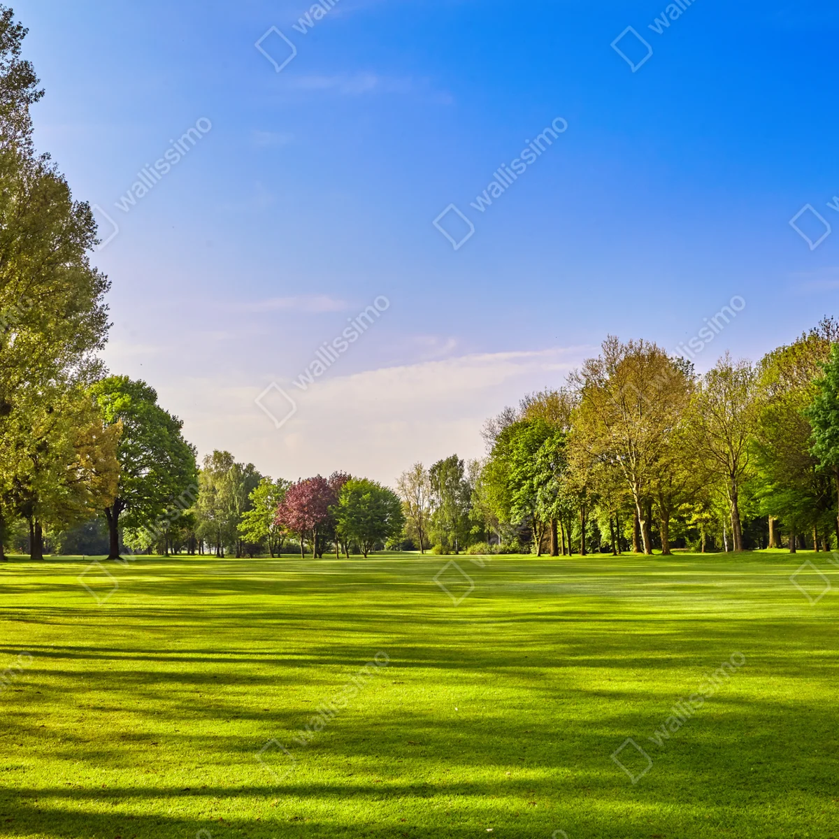 Fensteraufkleber sonnige panoramaaufnahme eines stadtparks Fensteraufkleber sonnige panoramaaufnahme eines stadtparks