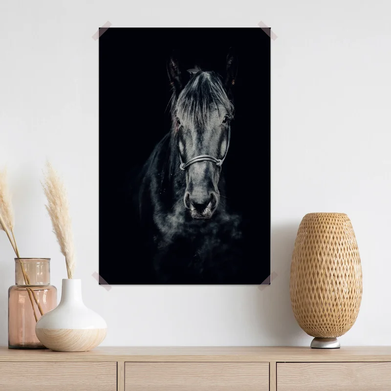 Poster majestätisches schwarzes pferdeporträt Poster majestätisches schwarzes pferdeporträt