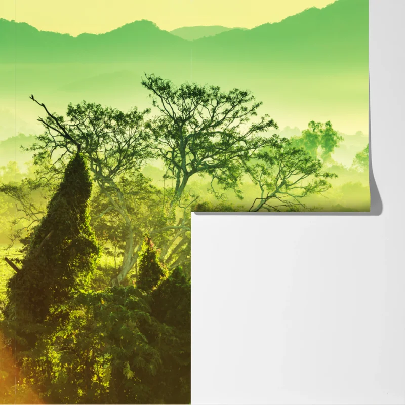 Fototapeta bujny tropikalny krajobraz dżungli Fototapeta bujny tropikalny krajobraz dżungli