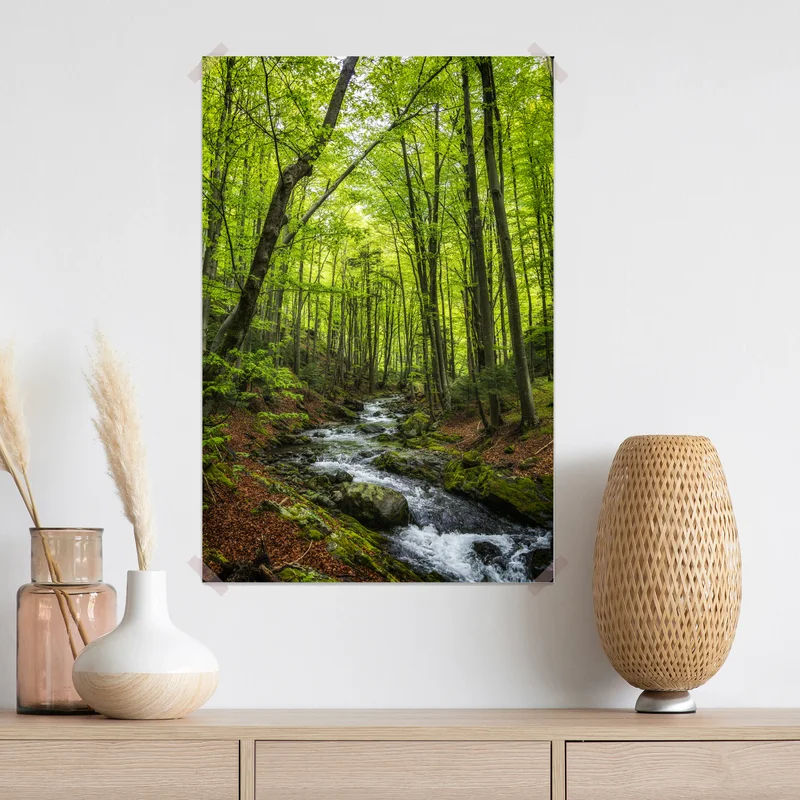 Poster ruhiger grüner waldbach Poster ruhiger grüner waldbach