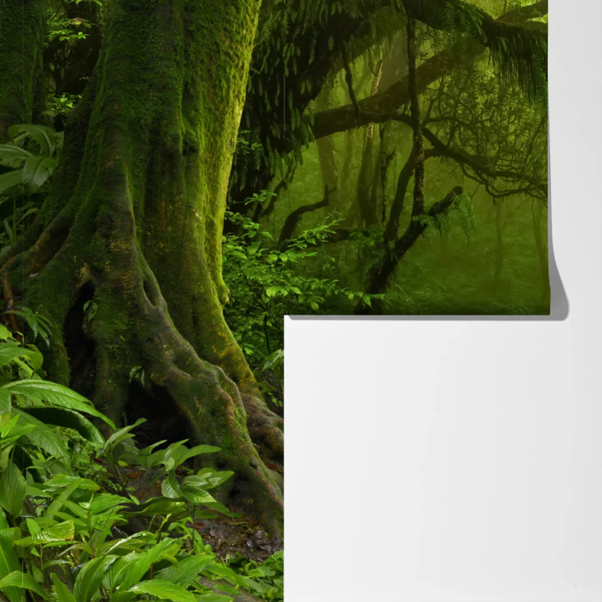 Fototapete verwunschener grüner wald mit bach Fototapete verwunschener grüner wald mit bach