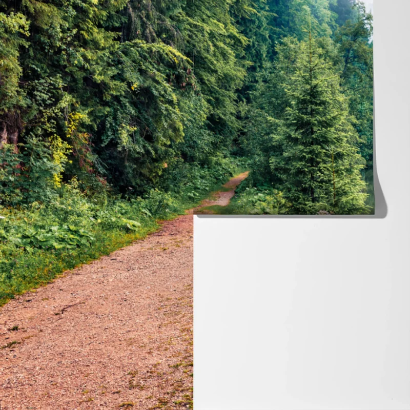 Fototapete nebliger morgen am Lacu Rosu Fototapete nebliger morgen am Lacu Rosu