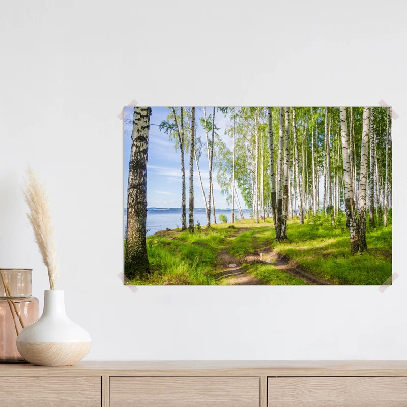 Poster sonnige birkenlichtung am wasser Poster sonnige birkenlichtung am wasser