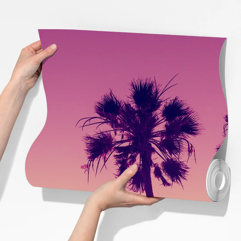 Fototapeta palmy z Kalifornii na Sunset Cliffs Fototapeta palmy z Kalifornii na Sunset Cliffs