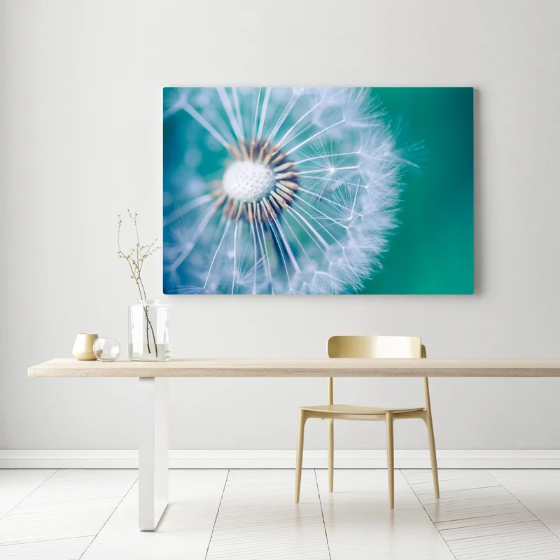 Leinwandbild türkisfarbener löwenzahn nahaufnahme Leinwandbild türkisfarbener löwenzahn nahaufnahme