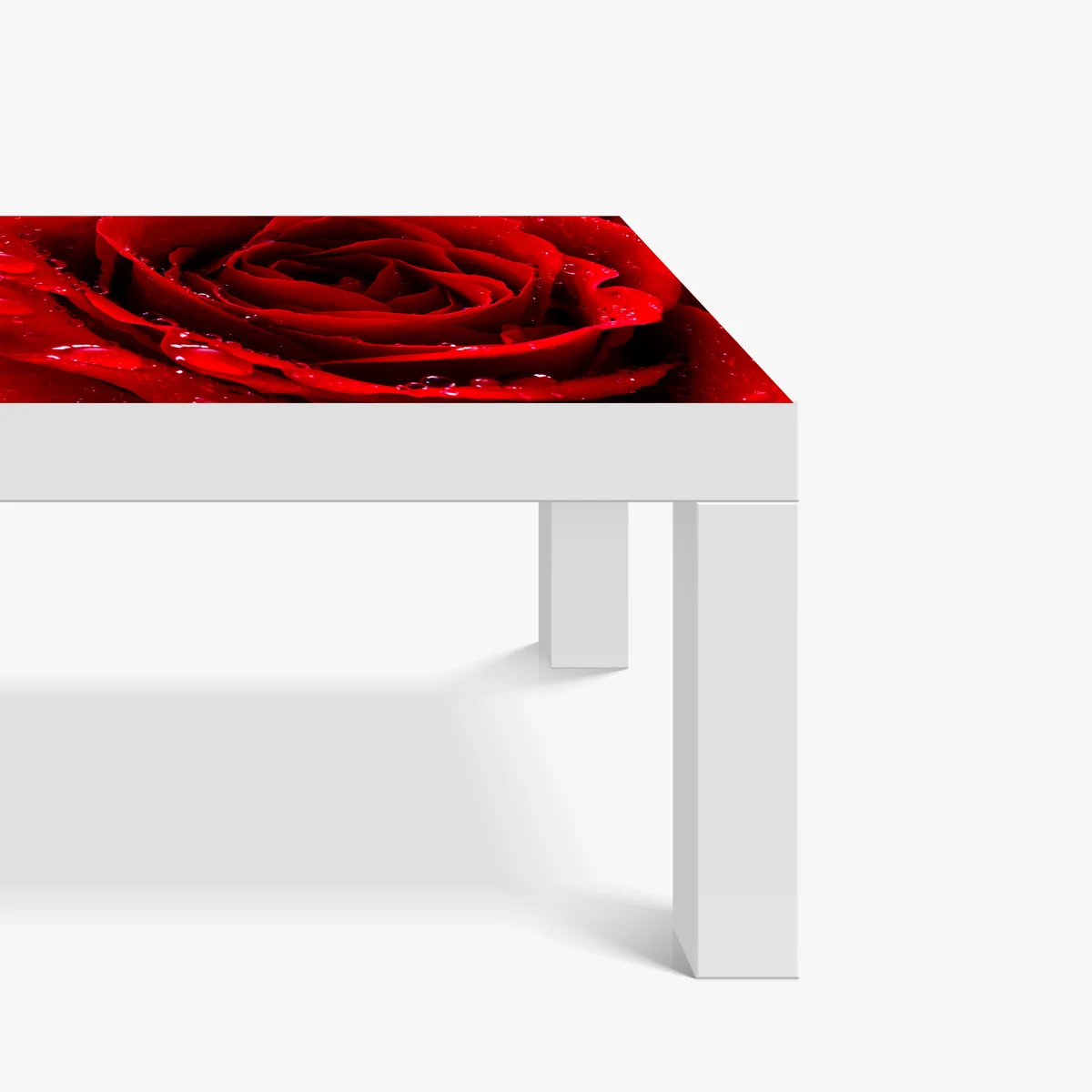 Tischaufkleber und Schreibtischaufkleber leuchtend rote rose nahaufnahme Tischaufkleber und Schreibtischaufkleber leuchtend rote rose nahaufnahme