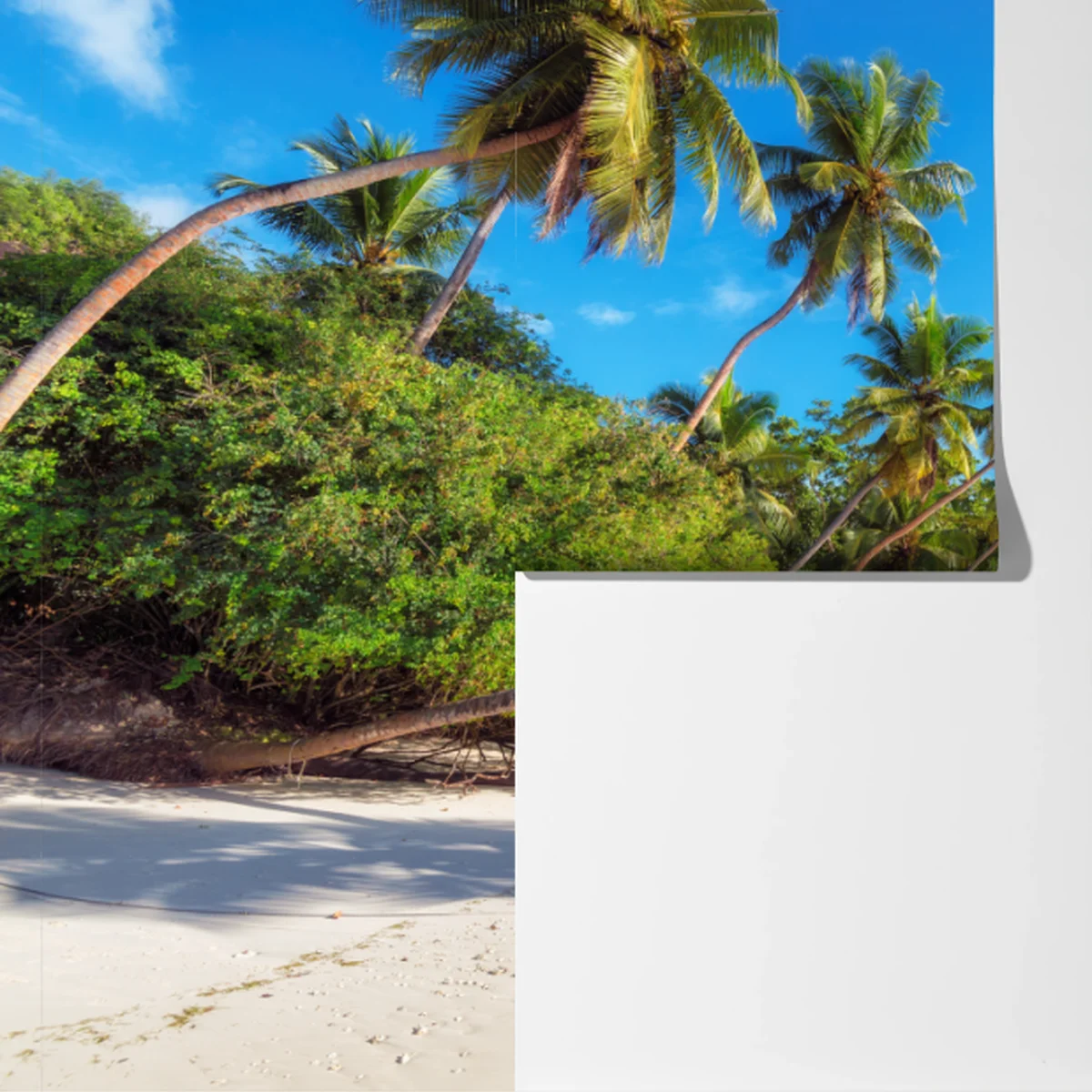 Fototapeta tropikalna plaża z palmami Fototapeta tropikalna plaża z palmami