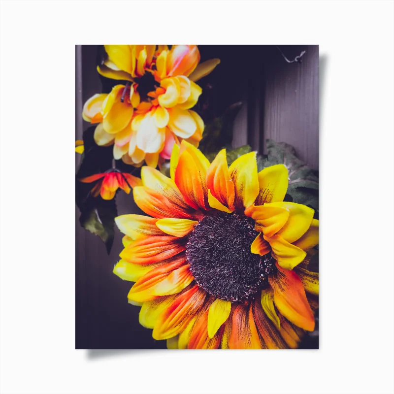Poster lebendige sonnenblumen-nahaufnahme • Poster bei Wallnifity® Poster lebendige sonnenblumen-nahaufnahme • Poster bei Wallnifity®