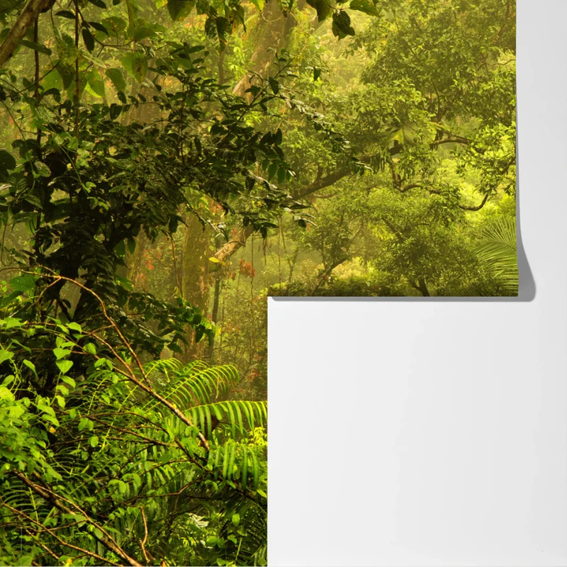 Fototapeta bujna pokrywa lasu deszczowego przy Cairns Fototapeta bujna pokrywa lasu deszczowego przy Cairns