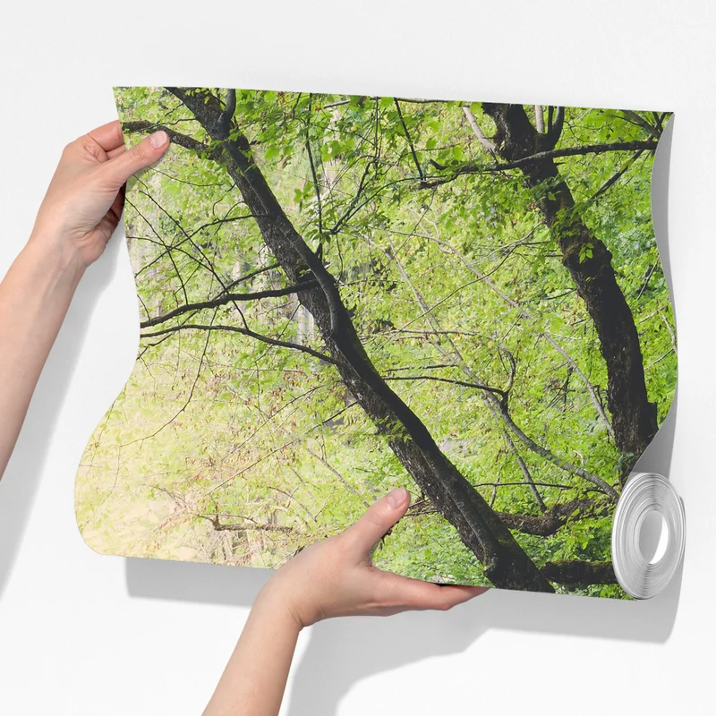 Fototapeta spokojna drewniana kładka w zielonym lesie Fototapeta spokojna drewniana kładka w zielonym lesie