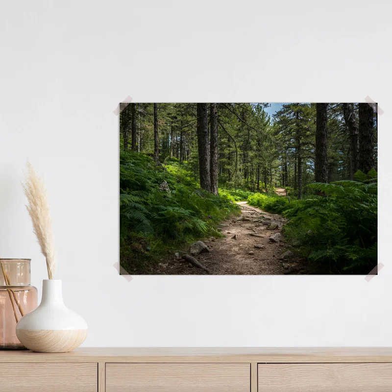 Poster ruhiger waldpfad durch üppiges grün Poster ruhiger waldpfad durch üppiges grün