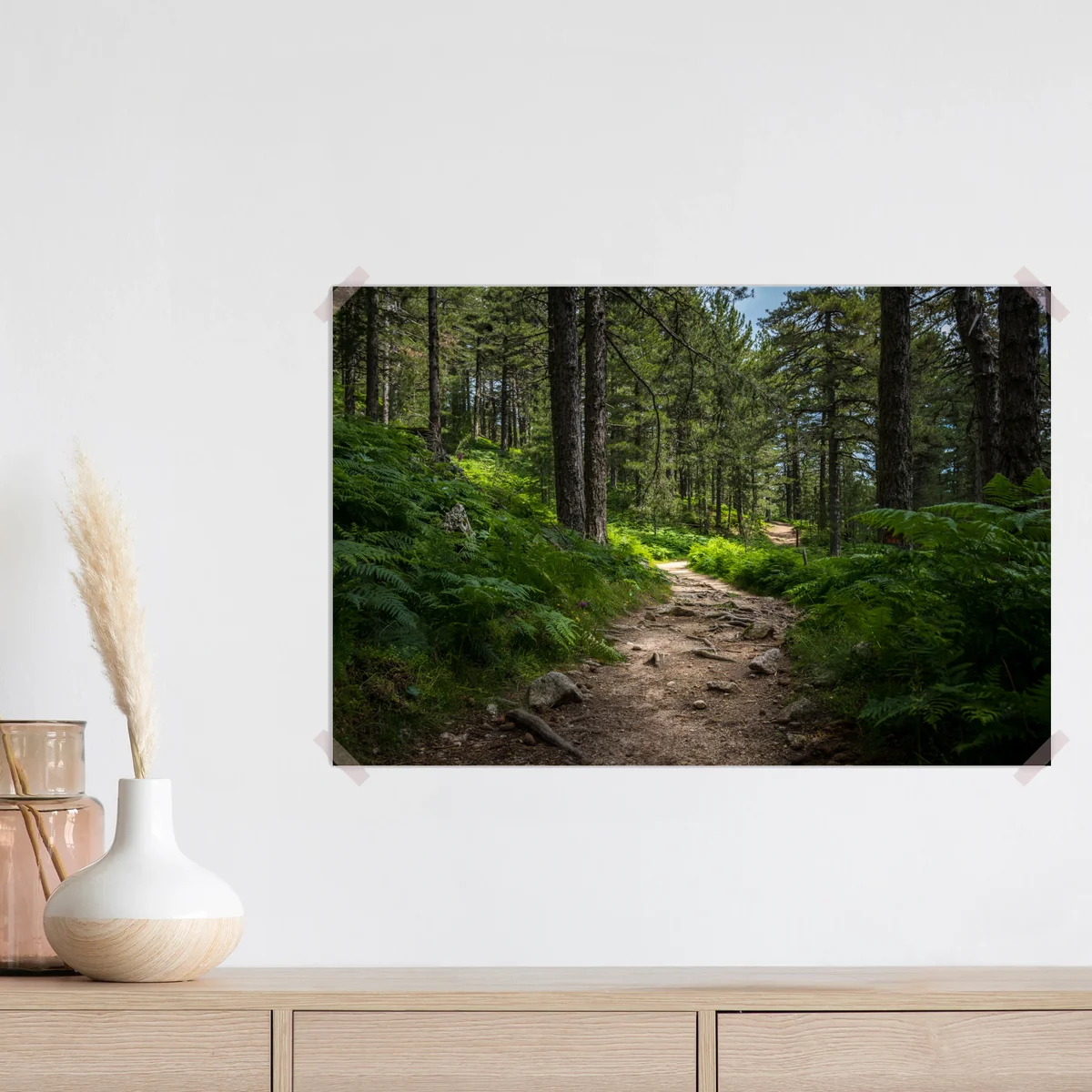 Poster ruhiger waldpfad durch üppiges grün Poster ruhiger waldpfad durch üppiges grün