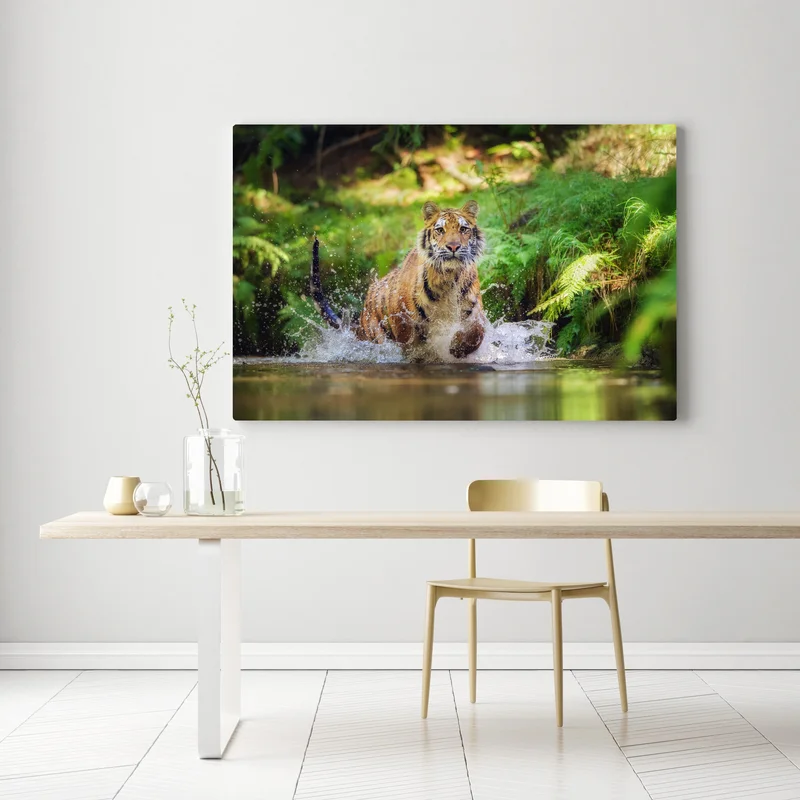 Leinwandbild majestätischer tiger im waldbach Leinwandbild majestätischer tiger im waldbach
