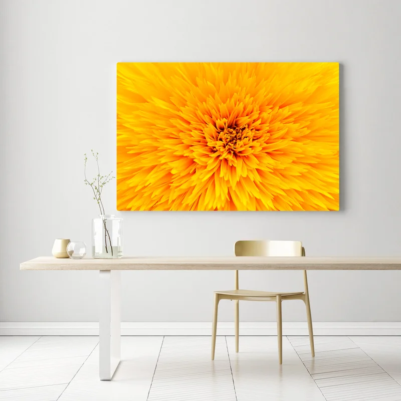 Leinwandbild strahlende sonnenblume nahaufnahme Leinwandbild strahlende sonnenblume nahaufnahme