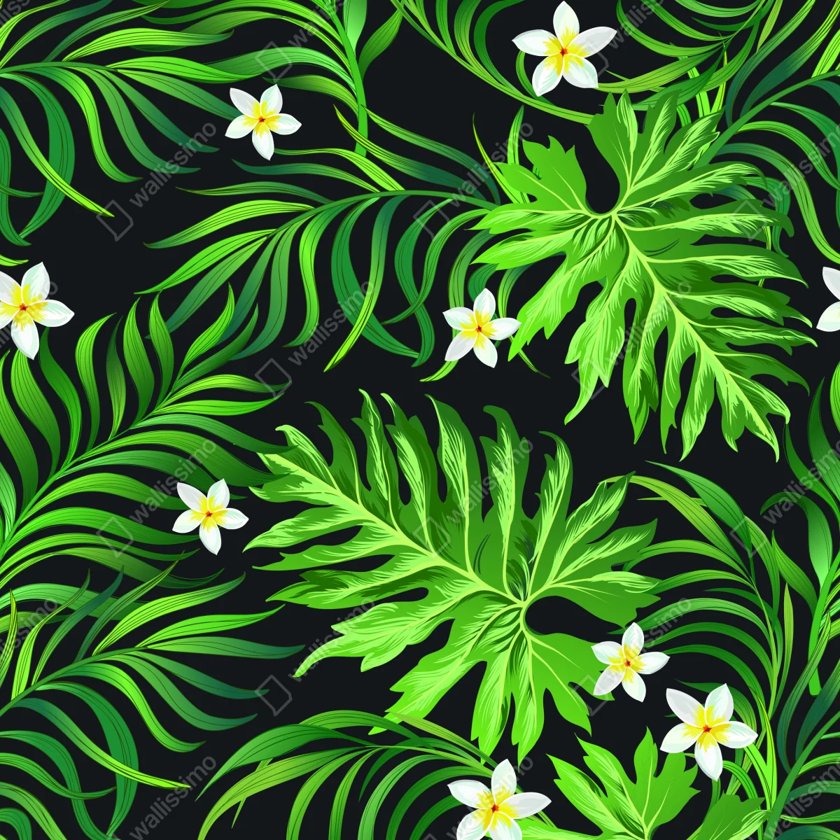 Poster prächtige tropische blätter mit weißen plumeria-blüten • Poster bei Wallnifity® Poster prächtige tropische blätter mit weißen plumeria-blüten • Poster bei Wallnifity®