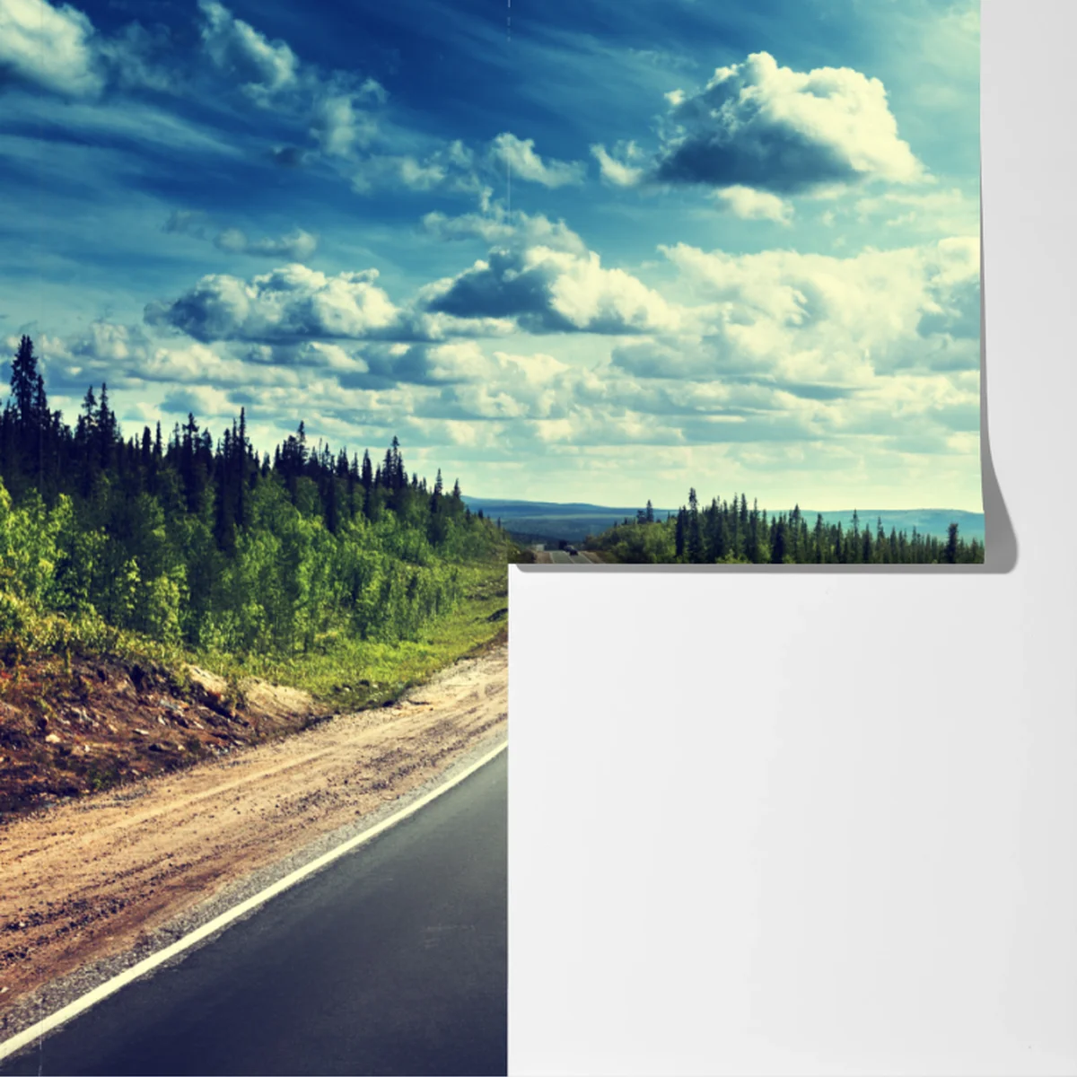 Fototapete sonnenbeschienene waldstraße bis zum horizont Fototapete sonnenbeschienene waldstraße bis zum horizont