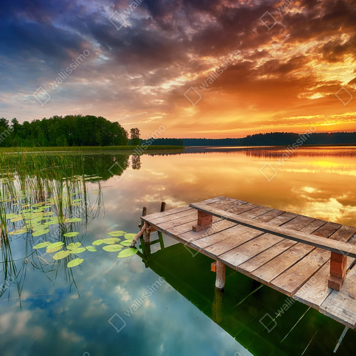 Laptop-Aufkleber goldener sonnenaufgang über ruhigem see Laptop-Aufkleber goldener sonnenaufgang über ruhigem see