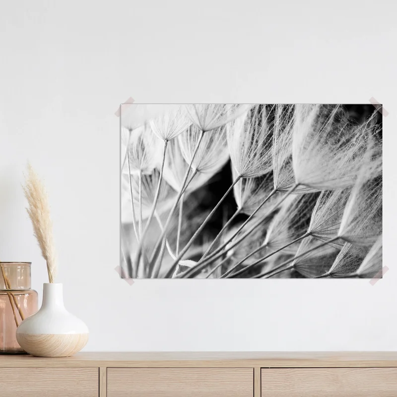 Poster zarte nahaufnahme von löwenzahnsamen in monochrom Poster zarte nahaufnahme von löwenzahnsamen in monochrom