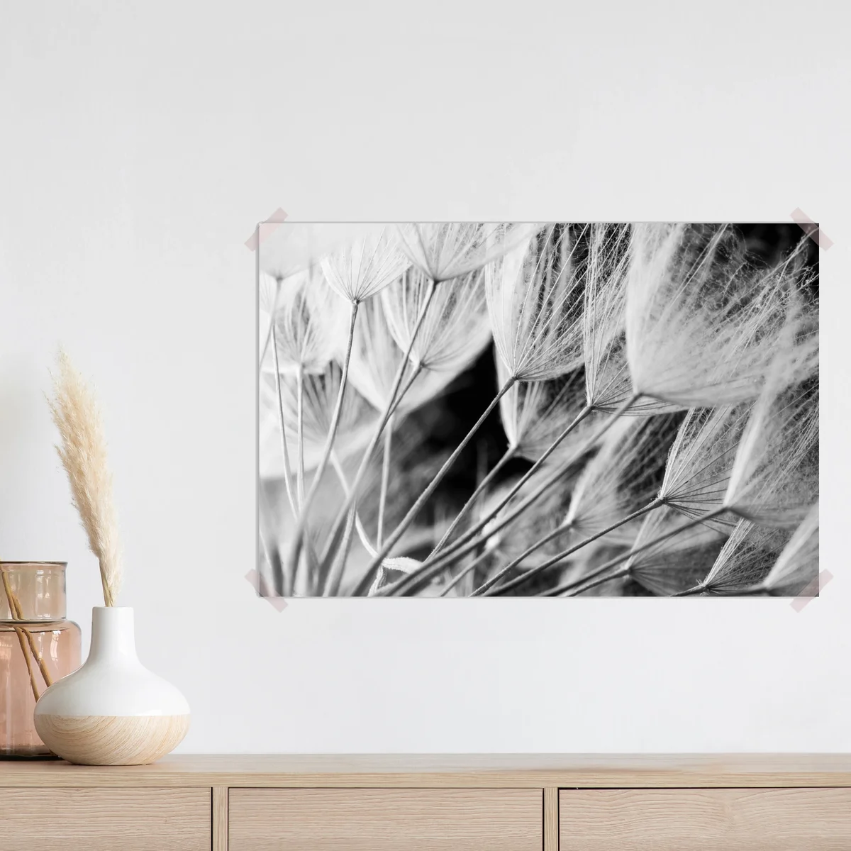 Poster zarte nahaufnahme von löwenzahnsamen in monochrom Poster zarte nahaufnahme von löwenzahnsamen in monochrom