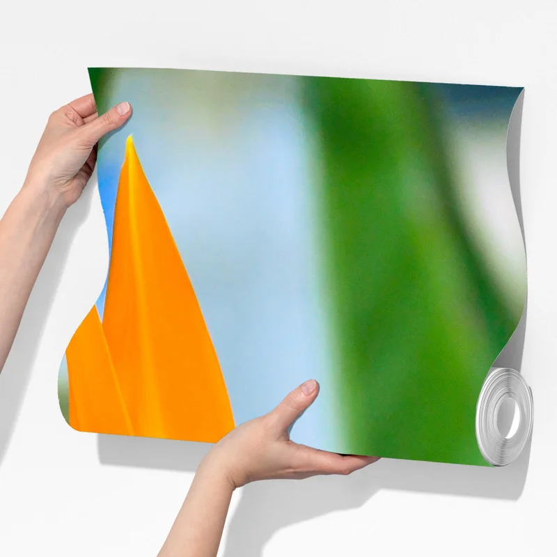 Fototapete leuchtende paradiesvogelblume Fototapete leuchtende paradiesvogelblume