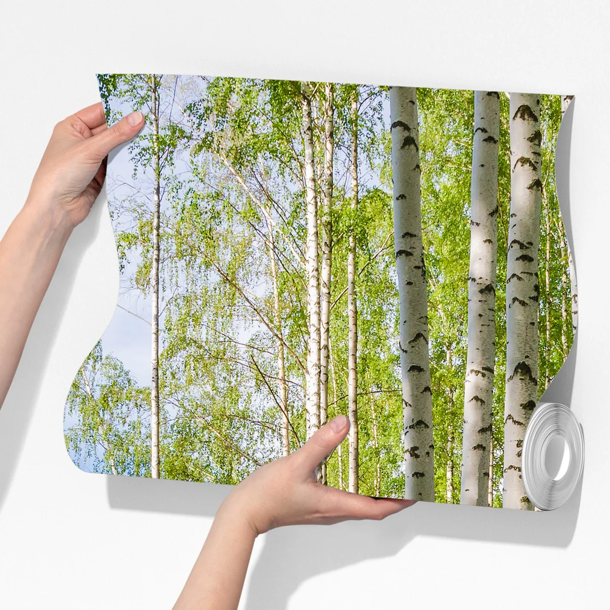 Fototapete sonnige birkenlichtung am wasser Fototapete sonnige birkenlichtung am wasser