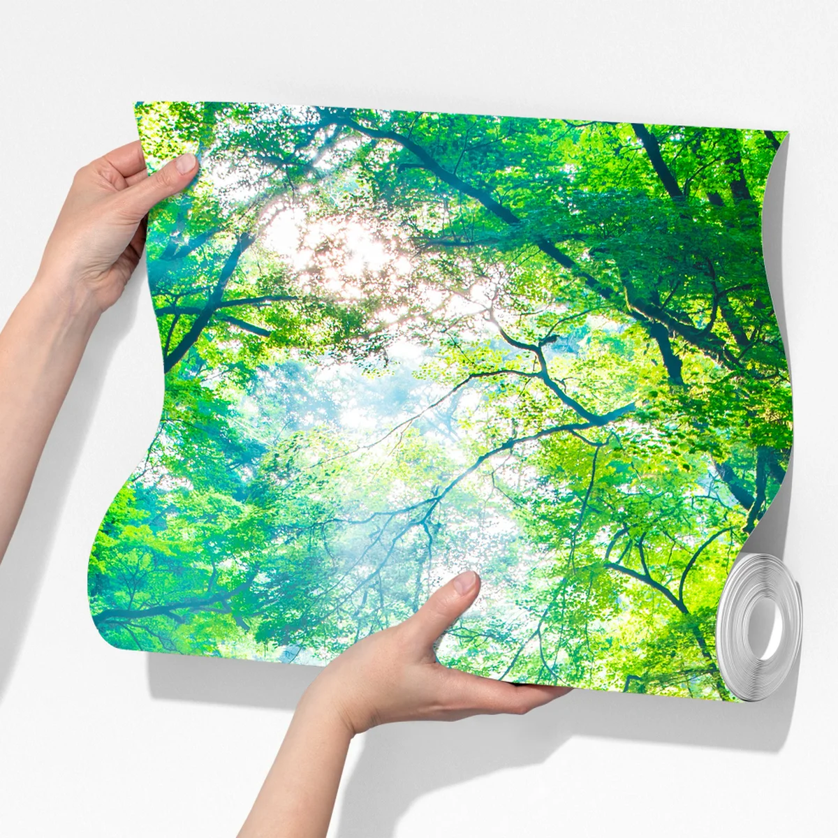 Fototapeta słoneczny leśny strumień z mchem Fototapeta słoneczny leśny strumień z mchem