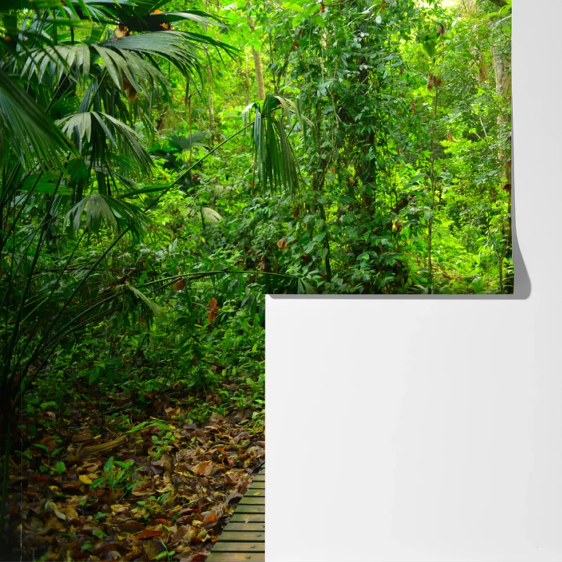 Fototapeta tropikalna kładka w bujnym lesie Fototapeta tropikalna kładka w bujnym lesie