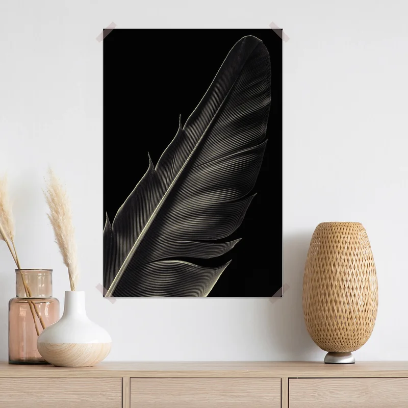 Poster zarte feder in makroaufnahme Poster zarte feder in makroaufnahme