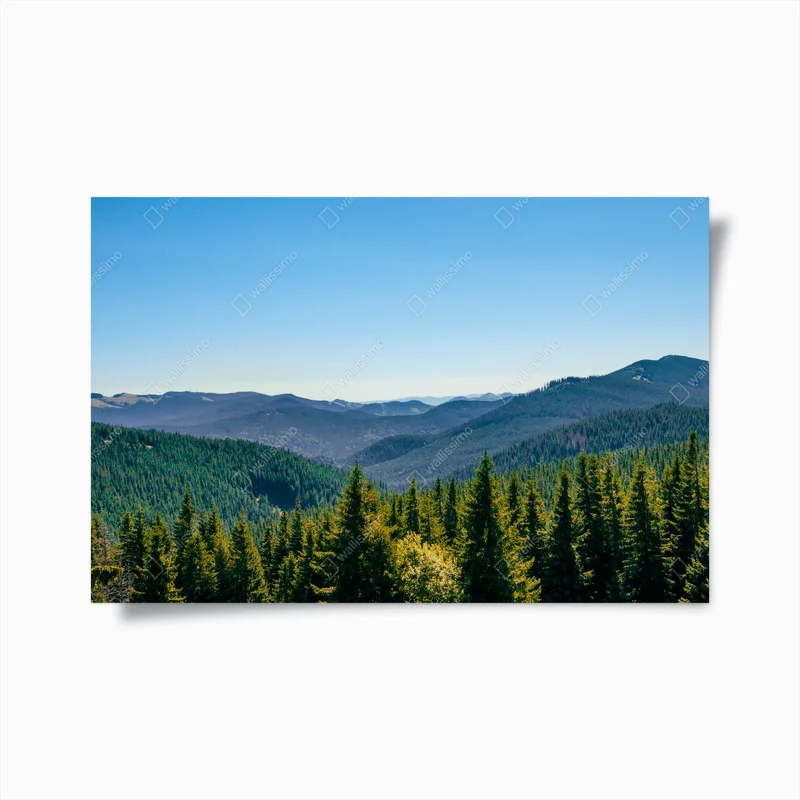 Poster grüne kegelförmige Baumkronen vor der Kulisse von Bergen und blauem Himmel • Poster bei Wallnifity® Poster grüne kegelförmige Baumkronen vor der Kulisse von Bergen und blauem Himmel • Poster bei Wallnifity®