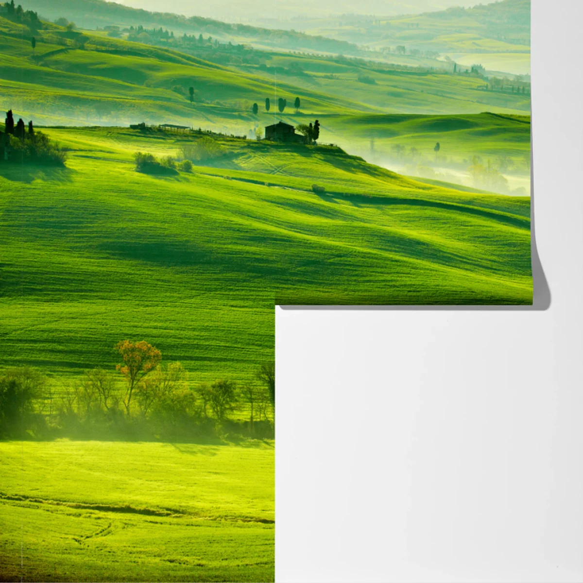 Fototapete sonnige sanft hügelnde landschaft der Toskana Fototapete sonnige sanft hügelnde landschaft der Toskana