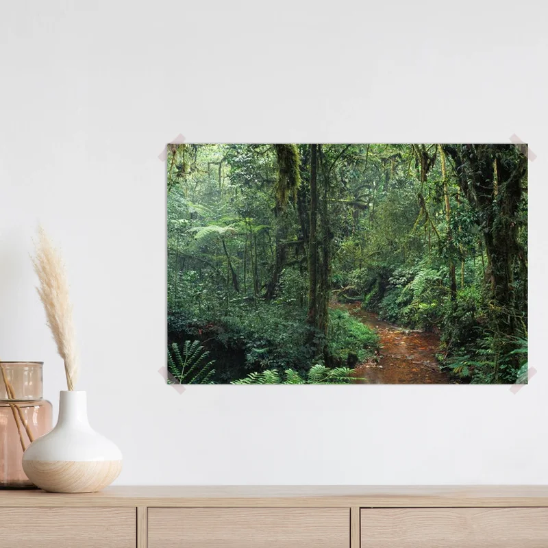 Poster malerischer afrikanischer Dschungel • Poster bei Wallnifity® Poster malerischer afrikanischer Dschungel • Poster bei Wallnifity®