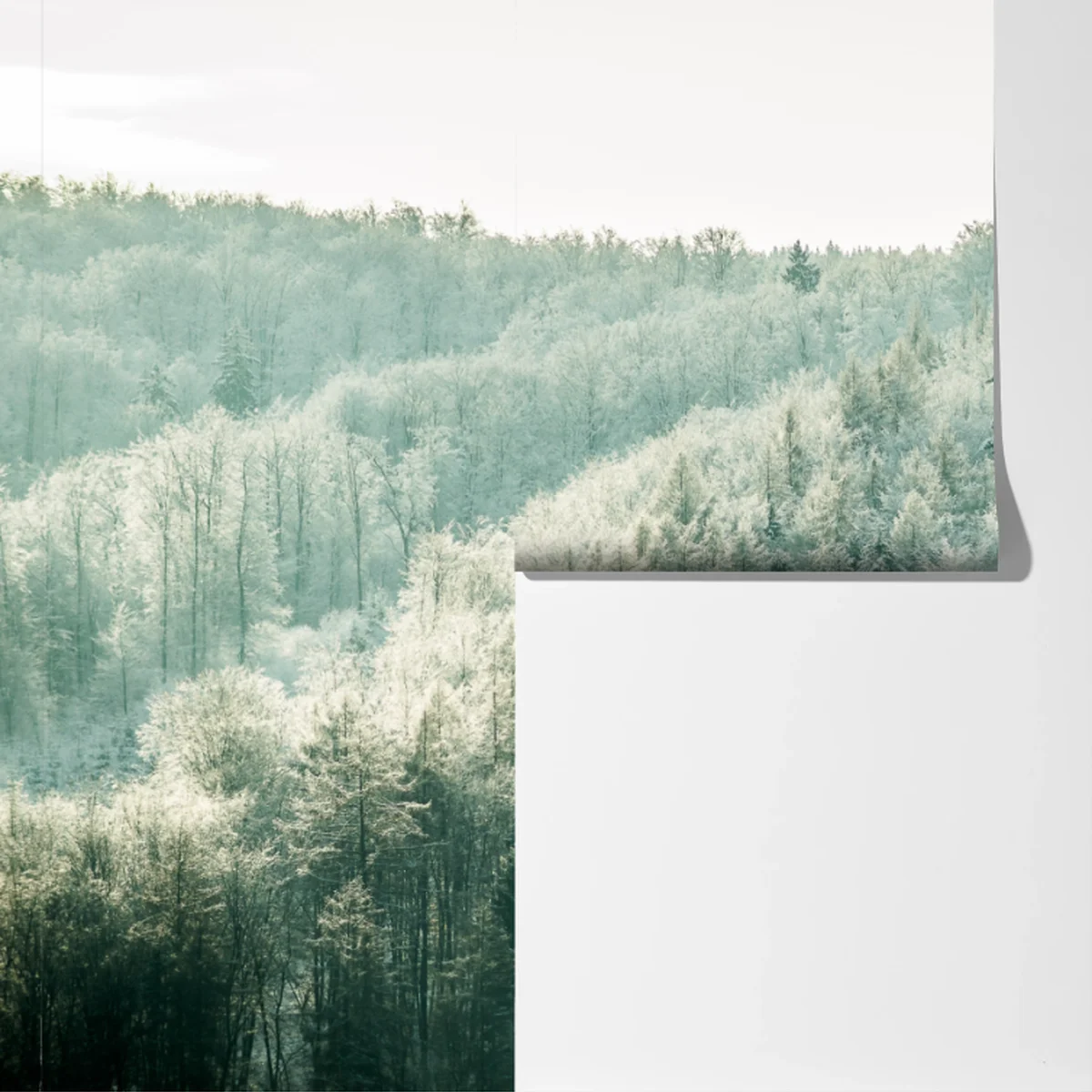 Fototapete nebliger reifbedeckter wald Fototapete nebliger reifbedeckter wald