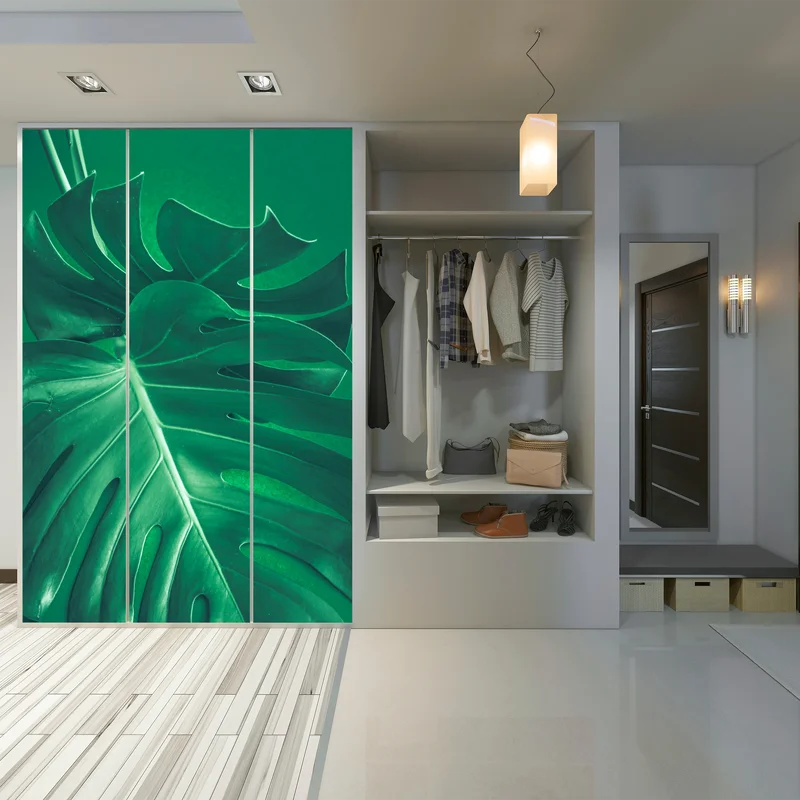 Schrankaufkleber prächtiges monstera-blatt nahaufnahme